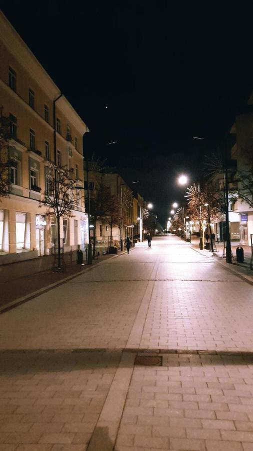 Downtown Apartment Rentals Šiauliai Esterno foto